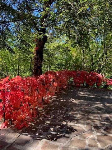 Esclusivo Chalet Immerso Nel Verde Filettino Zewnętrze zdjęcie